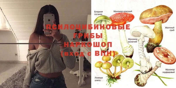 герыч Михайлов