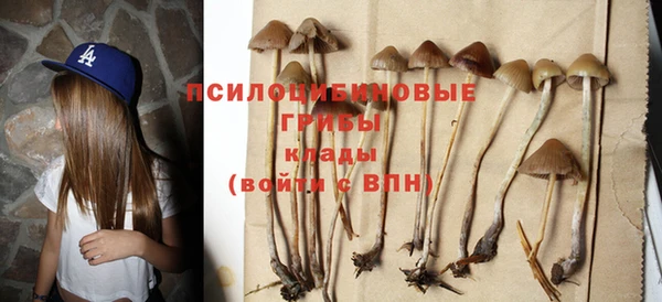 герыч Михайлов